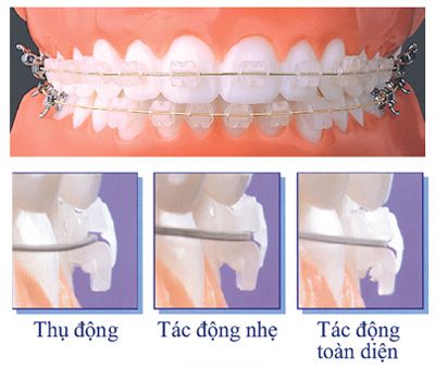 nieng-rang-mac-gan-mac-cai-1.jpg